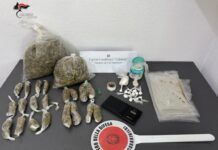 Droga nascosta nelle pareti di un immobile abbandonato: sequestrate marijuana e cocaina