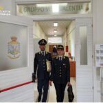 Lavoro nero, controlli della Finanza: 30 lavoratori senza contratto e sei aziende sospese