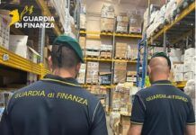 Calabria, controlli della Guardia di Finanza: 5 arresti per droga, lavoro nero e migliaia di prodotti sequestrati