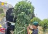 Estate sicura in Calabria, controlli della Guardia di Finanza: sequestri, arresti e centinaia di irregolarità