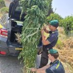 Estate sicura in Calabria, controlli della Guardia di Finanza: sequestri, arresti e centinaia di irregolarità