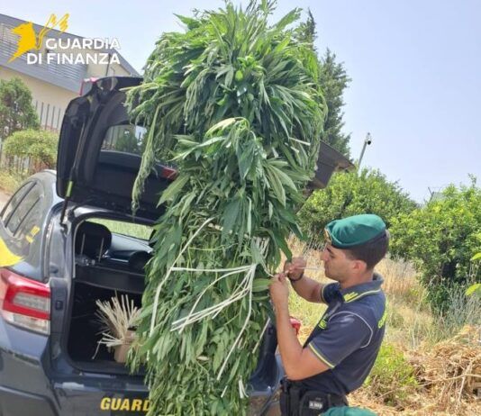 Estate sicura in Calabria, controlli della Guardia di Finanza: sequestri, arresti e centinaia di irregolarità