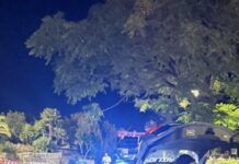 Controlli della Polizia di Stato: un arresto e sette denunciati