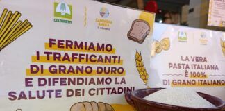 Pasta, Coldiretti Calabria: bene gli spot del Masaf. Ora fermare i trafficanti del grano e fare chiarezza sugli scaffali