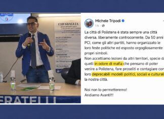 Papalia: Tripodi chieda scusa: «Gravi e offensive le sue parole sulle nostre comunità»