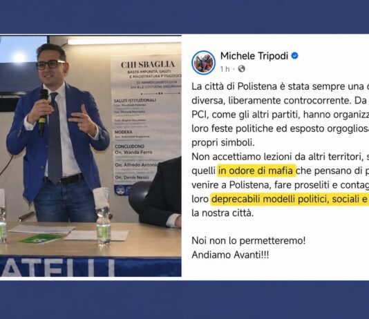 Papalia: Tripodi chieda scusa: «Gravi e offensive le sue parole sulle nostre comunità»