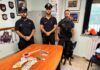 Sorpreso in casa con hashish e cocaina – arrestato 18enne