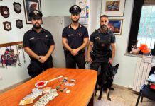 Sorpreso in casa con hashish e cocaina – arrestato 18enne
