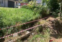 Liquidi pericolosi e olio esausto sversati sul terreno: denunciata una 54enne