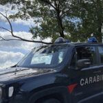 Rissa fuori da un locale, scattano cinque DACUR: divieto di accesso ai locali per un anno