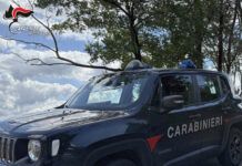 Rissa fuori da un locale, scattano cinque DACUR: divieto di accesso ai locali per un anno