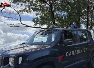 Rissa fuori da un locale, scattano cinque DACUR: divieto di accesso ai locali per un anno