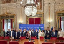 Olio, 40 milioni ai frantoi: Coldiretti incontra il ministro Lollobrigida contro le speculazioni sull’extravergine