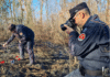 Incendio boschivo doloso, arrestato mentre appicca il fuoco: decisivo un drone