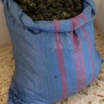 Aveva in casa 8kg di marijuana – arrestato