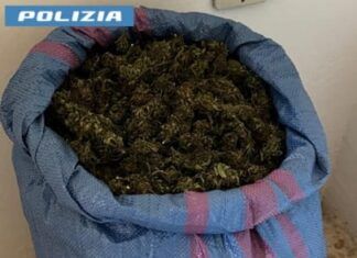 Aveva in casa 8kg di marijuana – arrestato