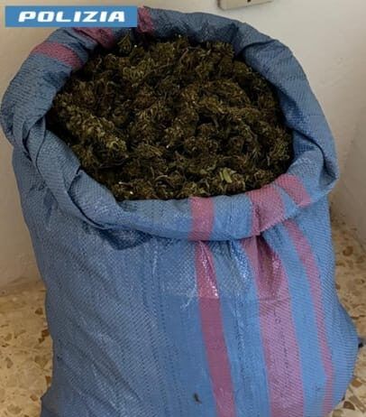 Aveva in casa 8kg di marijuana – arrestato