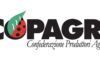 Copagri: “Gasolio agricolo, bene intervento governo, ma serve un taglio strutturale delle accise”