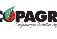Copagri: “Gasolio agricolo, bene intervento governo, ma serve un taglio strutturale delle accise”