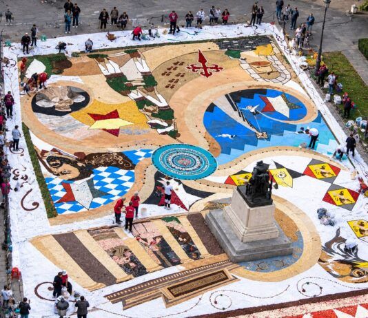 Infiorata di Taurianova: eccellenza che conquista l’Italia e il mondo