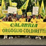 Autotrasporto, Coldiretti Calabria: “Positivi incontri con Prefetti, collaborazione per ritorno alla normalità”