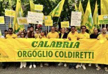 Autotrasporto, Coldiretti Calabria: “Positivi incontri con Prefetti, collaborazione per ritorno alla normalità”