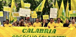 Autotrasporto, Coldiretti Calabria: “Positivi incontri con Prefetti, collaborazione per ritorno alla normalità”