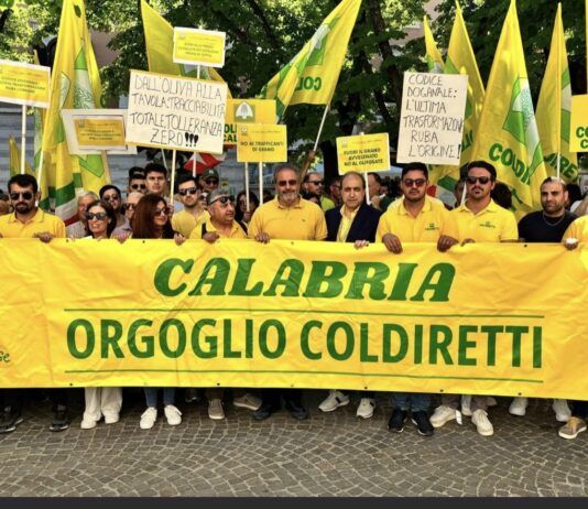 Autotrasporto, Coldiretti Calabria: “Positivi incontri con Prefetti, collaborazione per ritorno alla normalità”