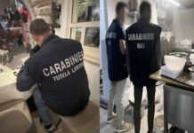 Manodopera fantasma e cibi senza tracciabilità: i Carabinieri chiudono un agriturismo