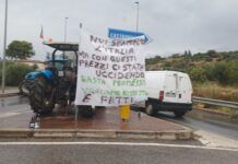 Continua la protesta in Calabria contro il caro carburante: agricoltori e autotrasportatori pronti ad andare avanti a oltranza