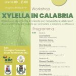 Minaccia Xylella, a San Ferdinando workshop 15 ottobre