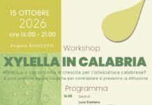 Minaccia Xylella, a San Ferdinando workshop 15 ottobre