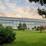 Sanità, Polo Oncologico Regionale: Lamezia è la sede naturale situata nell’area centrale della Calabria