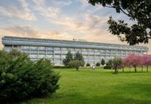 Sanità, Polo Oncologico Regionale: Lamezia è la sede naturale situata nell’area centrale della Calabria