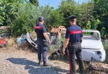 Deposito di rifiuti speciali e abbandono di animali – deferita una persona