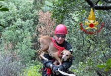 Cane bloccato in un dirupo – salvato dai Vigili del Fuoco